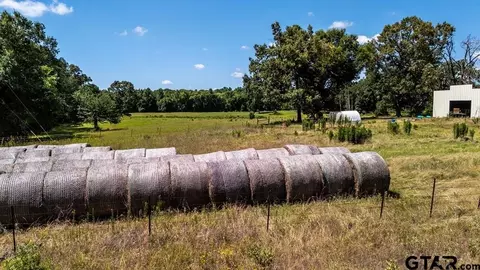 tbd Fm 773, Murchison, TX 75778 photo 14