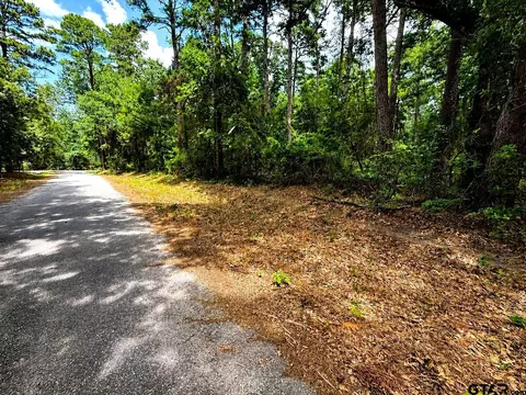 tbd Lot 4 Cr 4557, Winnsboro, TX 75494