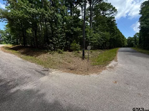 tbd Cr 4556, Winnsboro, TX 75494