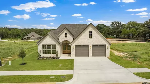 15125 Tilley Springs Cv, Tyler, TX 75703