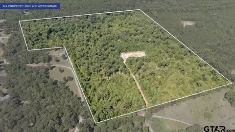 21930 County Road 2155, Troup, TX 75789