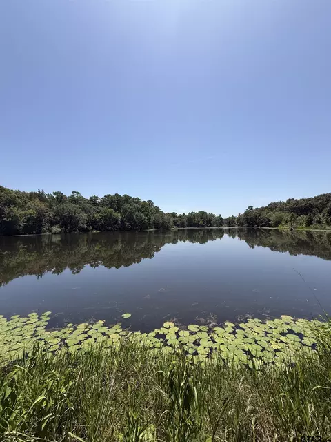 194 Cr 3802a, Bullard, TX 75757