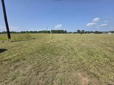 12603 Farm To Market 16 E, Winona, TX 75792