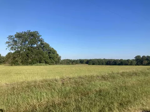 15178 Cr 1100, Tyler, TX 75703