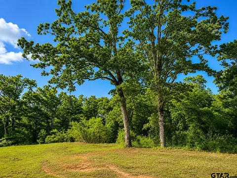 tbd W Hwy 80, Mineola, TX 75773
