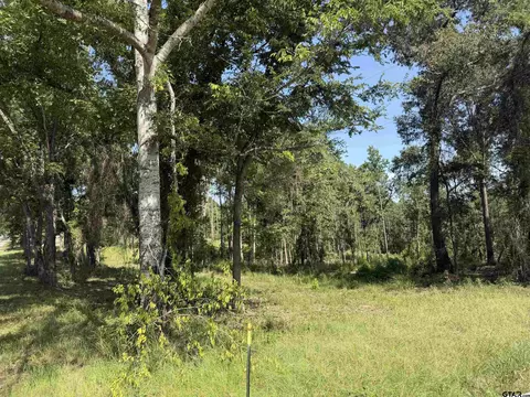 000 Cr 4218 15 Acre, Jacksonville, TX 75766