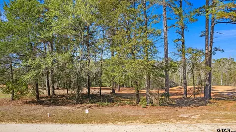 8741 Wilder Trl, Tyler, TX 75703