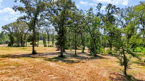 15482 Aniston Ln, Flint, TX 75762