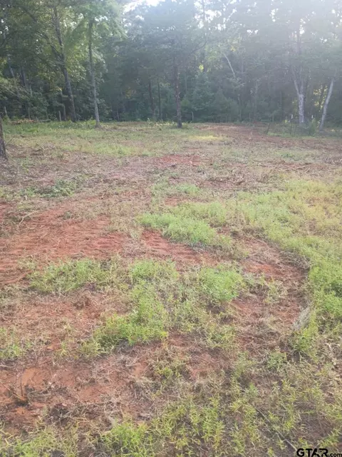 10717 C R 4149, Tyler, TX 75704