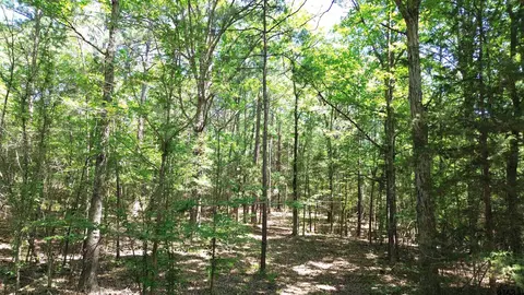 tbd Cr 4720, Kennard, TX 75847