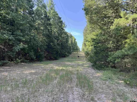 1301 An County Road 3552, Palestine, TX 75803