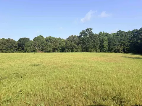 lot10 3383 Acres Fm 15 County Road 2166, Troup, TX 75789
