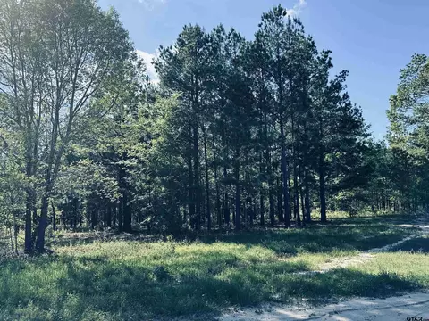 2609 N Fm 346, Bullard, TX 75757
