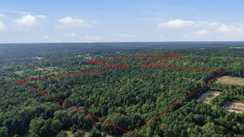 0 An County Road 359, Palestine, TX 75801