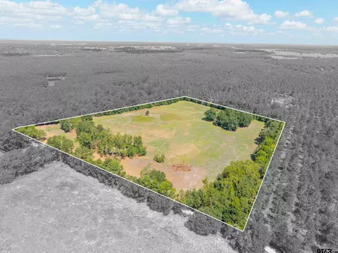 tbd Cr 3365, Lovelady, TX 75851