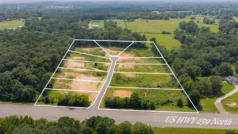 0000 Parra Dr, Diana, TX 75640