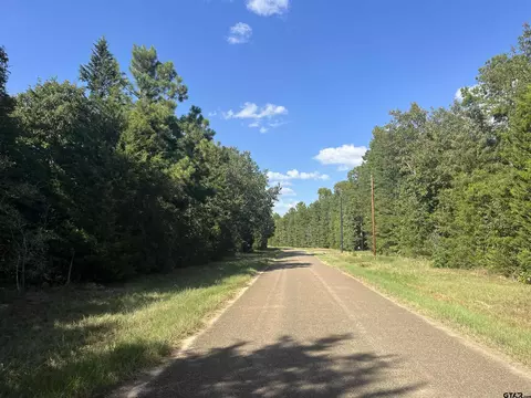 1803 Cr 4606, Troup, TX 75789