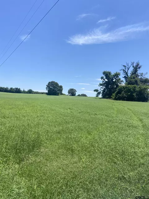 6109 Fm 2330, Montalba, TX 75853