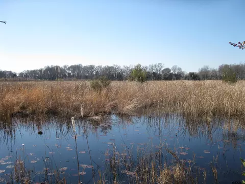 tbd 133- Acres County Road 4701, Ben Wheeler, TX 75754