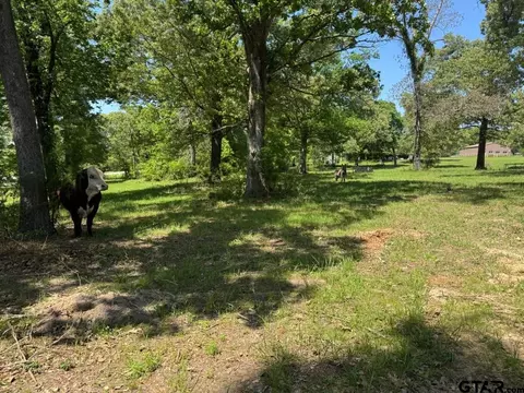 tbd Front St, Arp, TX 75750 photo 3