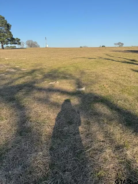 tbd Front St, Arp, TX 75750 photo 8