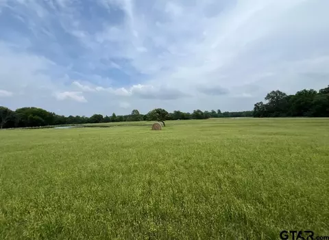 tbd Pr 5291, Yantis, TX 75497 photo 8