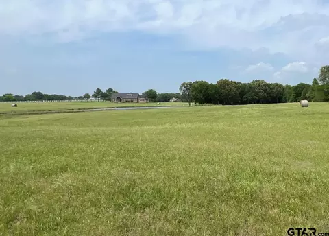 tbd Pr 5291, Yantis, TX 75497 photo 9