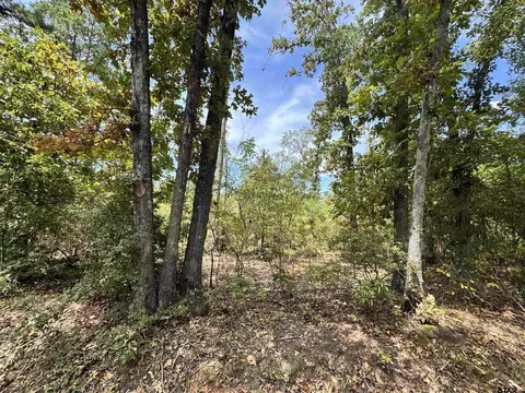 tbd Cr 222, Henderson, TX 75652