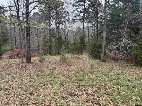 lot S 9-11 Lake Gladewater Rd, Gladewater, TX 75647