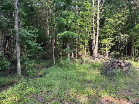 tbd Fm 2879, Longview, TX 75605 photo 5
