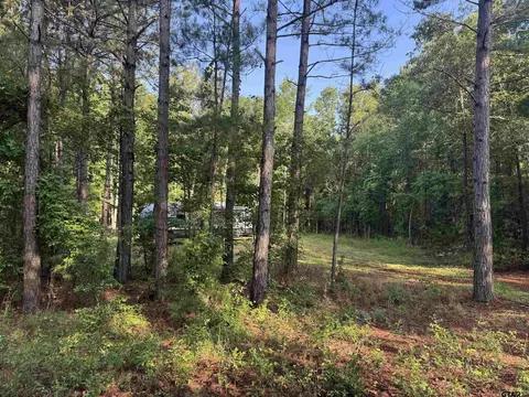 tbd Fm 2879, Longview, TX 75605 photo 2