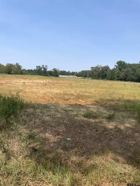 tbd Cr 2208, Pittsburg, TX 75686