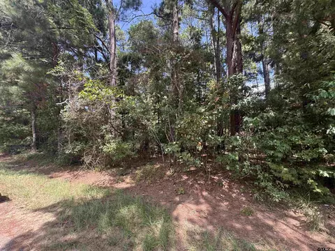 352 Neches Dr, Bullard, TX 75757