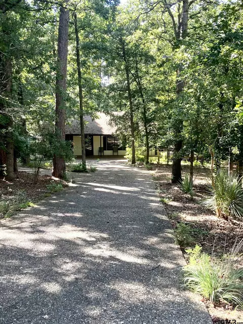 203 Peach Tree, Holly Lake Ranch, TX 75765