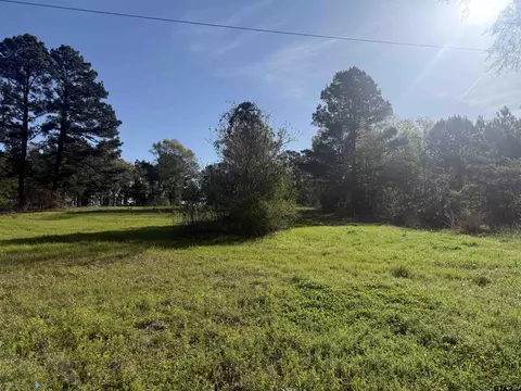 15830 Shady Crk, Tyler, TX 75705
