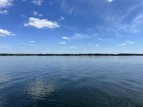 lot106 Oak Riv, Frankston, TX 75763