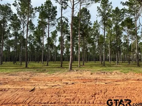lot52 Oak Riv, Frankston, TX 75763