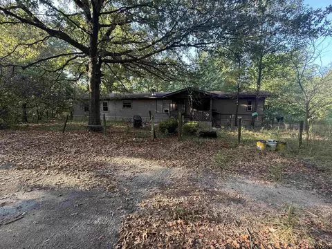 10933 C R 384, Tyler, TX 75708 photo 3