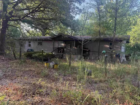 10933 C R 384, Tyler, TX 75708 photo 4