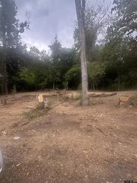 142 Vaughn Ave, Tyler, TX 75702