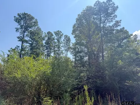 tbd Lightfoot Rd, Lufkin, TX 75904 photo 9