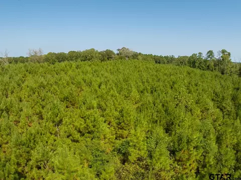 tbd Lightfoot Rd, Lufkin, TX 75904 photo 5