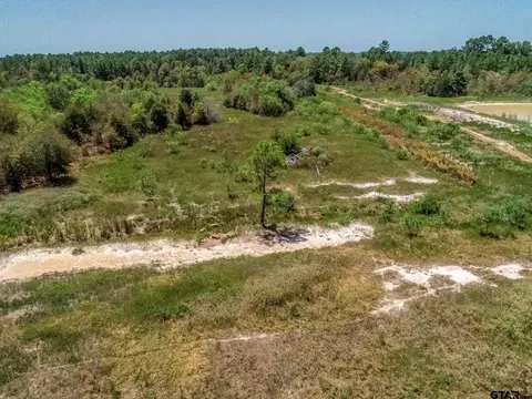 4661 Cr 335, Palestine, TX 75803