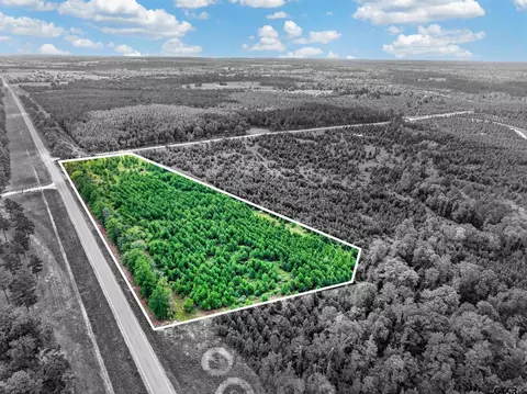Tract #1 Fm 1280, Lovelady, TX 75851