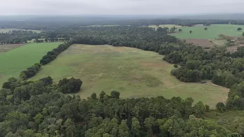 000 Sandy Rd, Jacksonville, TX 75766