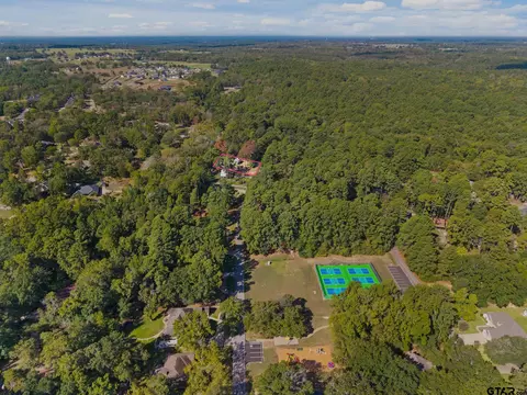 View/Area - 1656 Pineview Ln, Hideaway, TX 75771 photo 3 of 12