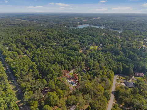 View/Area - 1656 Pineview Ln, Hideaway, TX 75771 photo 2 of 12