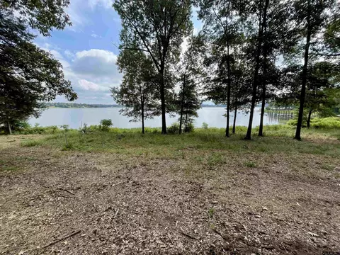 101 Sterling Shores Dr, Scroggins, TX 75480