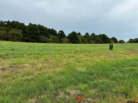 16724 Caeli Heights Ct, Winona, TX 75792