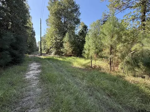 tbd Cr 3385, Lovelady, TX 75851